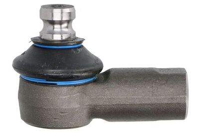 Tie Rod End REINHOCH RH52-A161