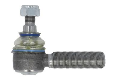 Tie Rod End REINHOCH RH52-A244