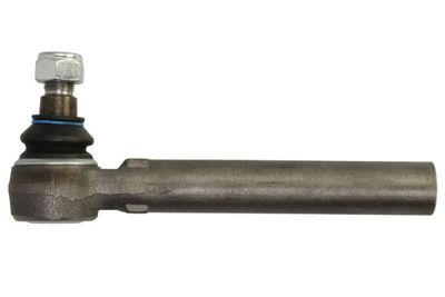 Tie Rod End REINHOCH RH52-A566