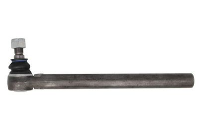 Tie Rod End REINHOCH RH52-A656