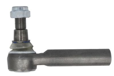 Tie Rod End REINHOCH RH52-A802