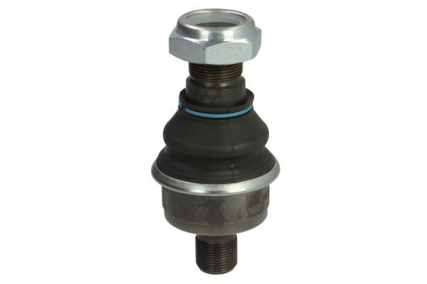 REINHOCH RH54-A100 Kingpin