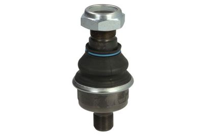 Kingpin REINHOCH RH54-A100