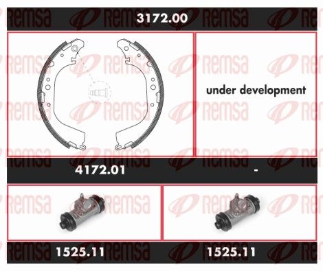 REMSA 3172.00 Brake Kit, drum brake