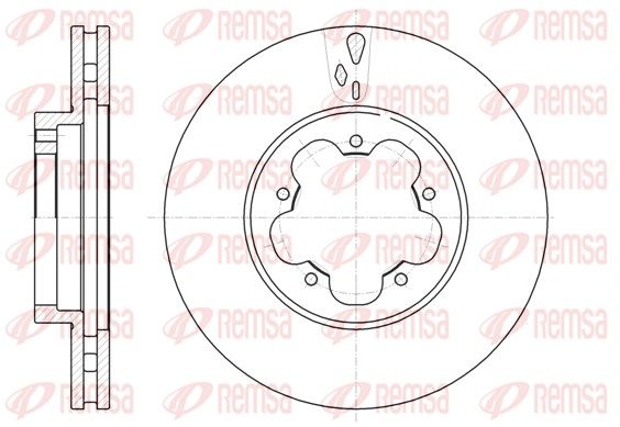 REMSA 61021.10 Brake Disc