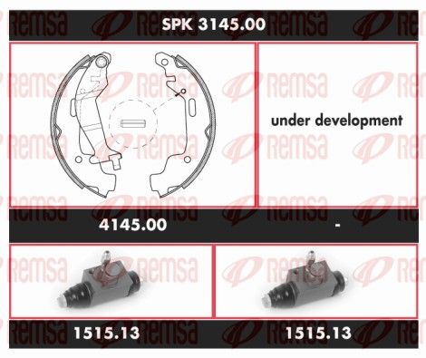 REMSA SPK 3145.00 Brake Kit, drum brake