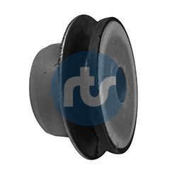 RTS 017-01217 Mounting, control/trailing arm
