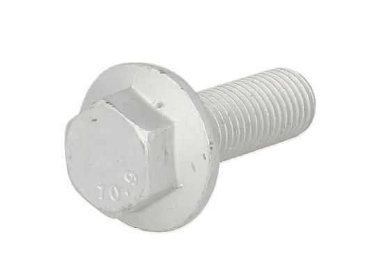 S-TR STR-40223 Screw