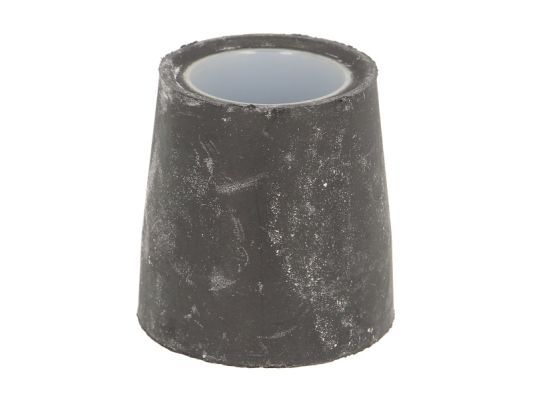 S-TR STR-120136 Bushing, leaf spring