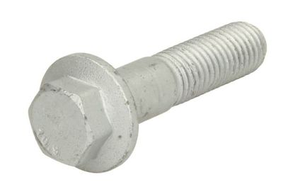 Screw S-TR STR-1207209