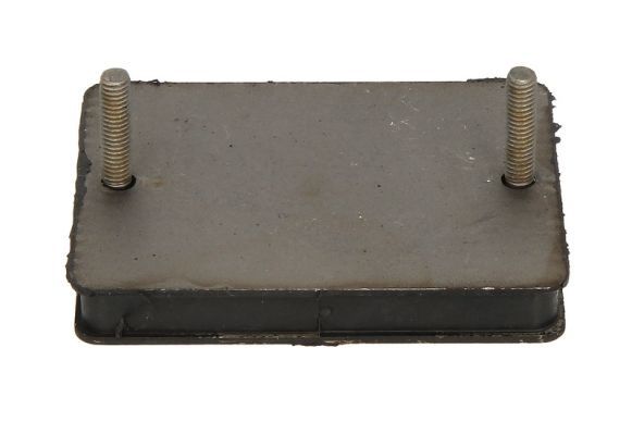 S-TR STR-120889 Wear Plate, leaf spring
