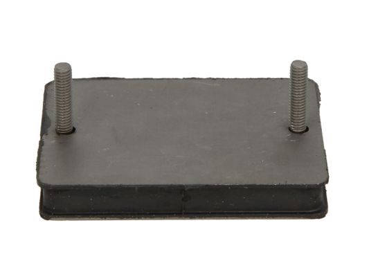 S-TR STR-120890 Wear Plate, leaf spring
