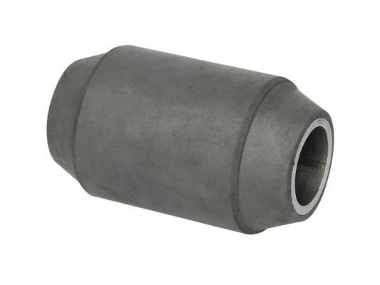 S-TR STR-120909 Mounting, leaf spring