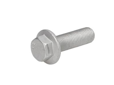 Screw S-TR STR-40222