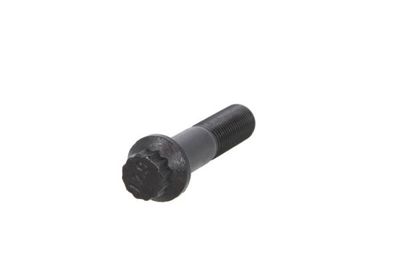 Bolt, brake disc S-TR STR-41007