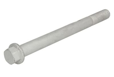 Screw S-TR STR-M20X2/240