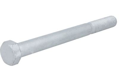 Screw S-TR STR-M24X2/260