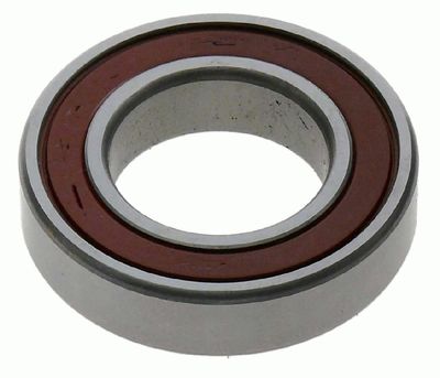 Pilot Bearing, clutch SACHS 1863 869 040