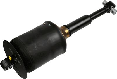 Shock Absorber SACHS 317 323