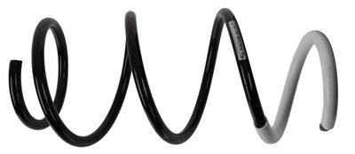 Suspension Spring SACHS 991 199