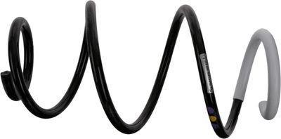 Suspension Spring SACHS 993 921
