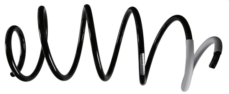 SACHS 993 838 Suspension Spring