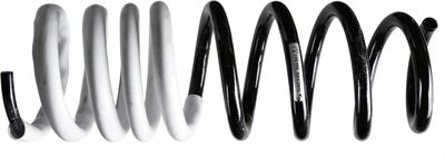 Suspension Spring SACHS 994 881