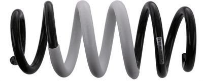 Suspension Spring SACHS 994 834