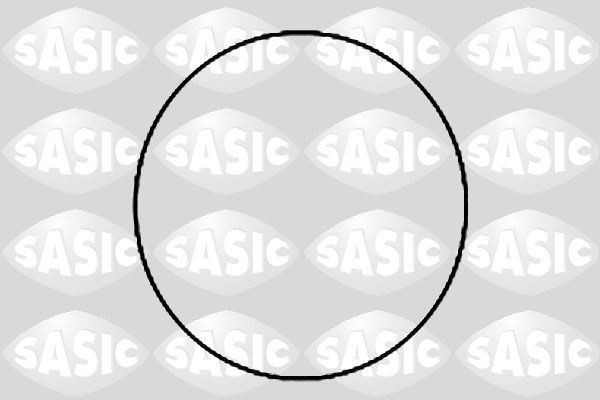 SASIC 1120780 O-Ring Set, cylinder sleeve
