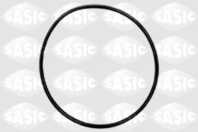 Shaft Seal, wheel hub SASIC 3453303