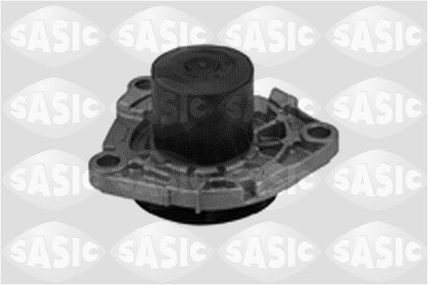 SASIC 3606015 Water Pump, engine cooling