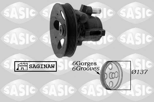 SASIC 7076033 Hydraulic Pump, steering