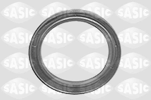 SASIC 7243183 Shaft Seal, wheel hub