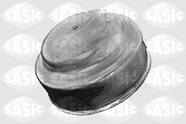 SASIC 7403073 Cover, wheel hub