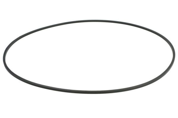 SBP 02-AG030 Seal, brake caliper piston