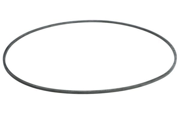 SBP 02-AG031 Seal, brake caliper piston