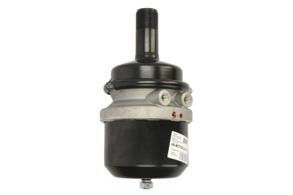 SBP 05-BCT20/24-K01 Pretensioning Cylinder