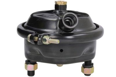 Pretensioning Cylinder SBP 05-BCT20-K03