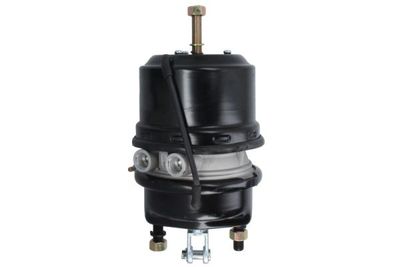 Multi-function Brake Cylinder SBP 05-BCT24/24-W15