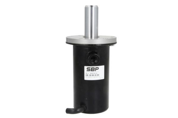 SBP 05-BCT50-W01 Spring-loaded Cylinder