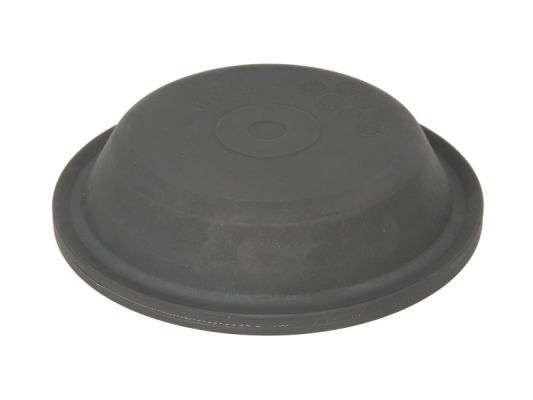 SBP 05-DMT20 Diaphragm, diaphragm brake cylinder