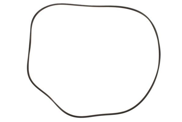 SBP 12-AG031 Piston, brake caliper