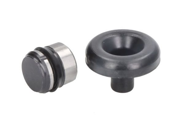 SBP 12-AG035 Repair Kit, brake master cylinder