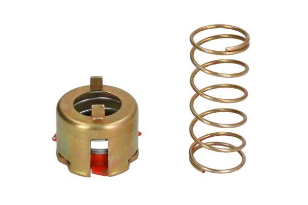 SBP CRK-Z008 Repair Kit, brake caliper