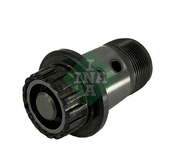 Schaeffler INA 427 0180 10 Central Valve, camshaft adjustment