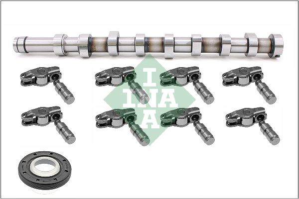 Schaeffler INA 428 0056 30 Camshaft Kit