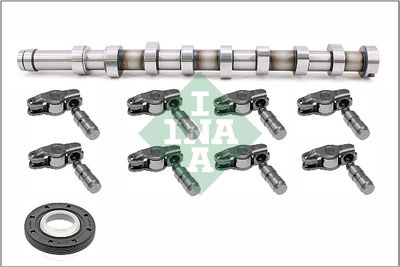 Camshaft Kit Schaeffler INA 428 0056 30