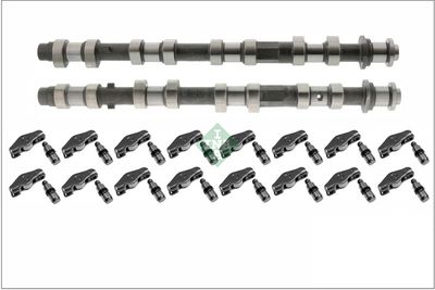 Camshaft Kit Schaeffler INA 428 0057 30