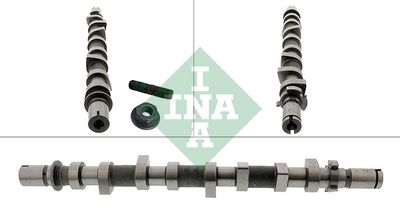 Camshaft Schaeffler INA 428 0252 10
