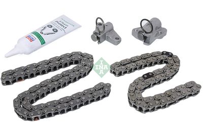 Timing Chain Kit Schaeffler INA 559 1002 10